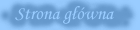 Strona główna